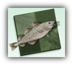 Stockfish 11  logo